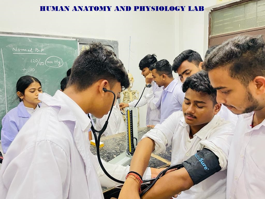 Pharmacognosy, Human Anatomy and Physiology Lab Pharmacotherapeutics and Pharmac
