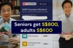 Seniors get S$800, adults S$600