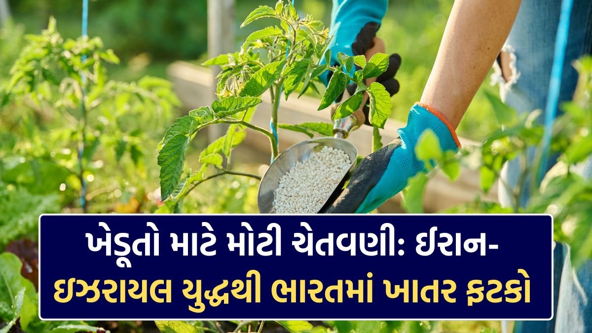 Gold-Silver Price Today LIVE